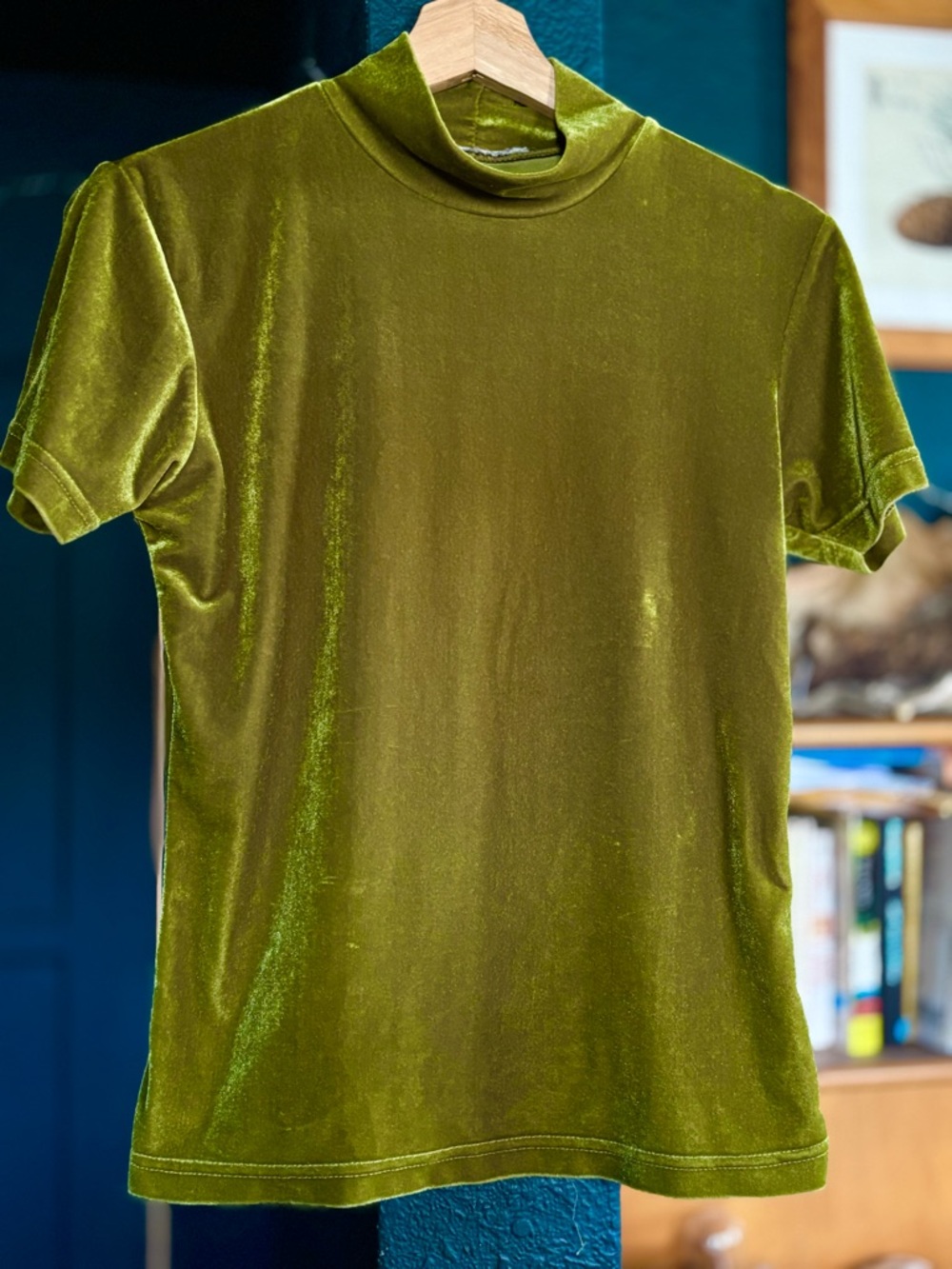 Olive Green Velvet Short Sleeve Mock Neck Top